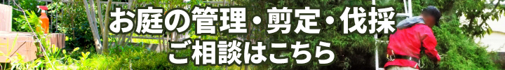 お庭の管理・剪定・伐採