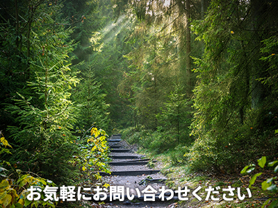 株式会社トラム