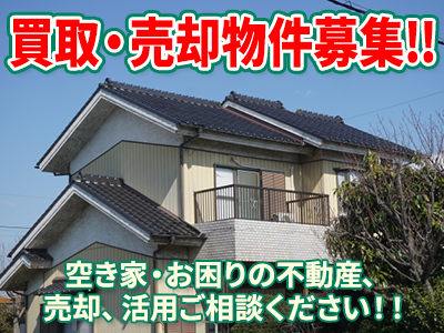 まつど不動産
